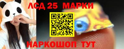 амф Можга